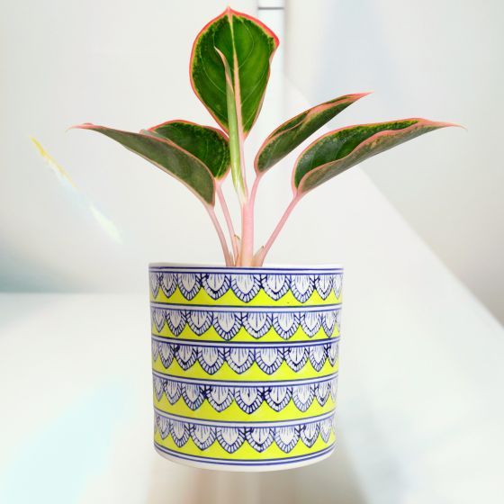 Khurja Pottery Outdoor Pot – Pipe Shape, Yellow, Big Size (8 Inches)